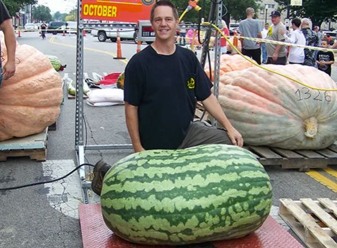 Una Sandia Grande Alcanza Para 3 Personas